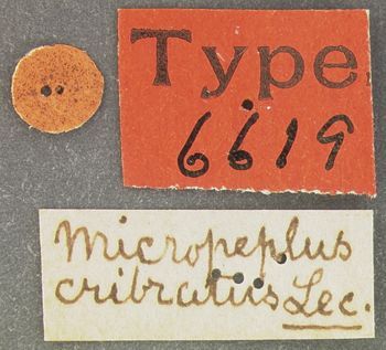 Media type: image;   Entomology 6619 Aspect: labels